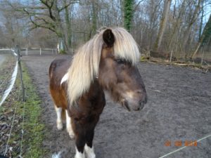 Dagur